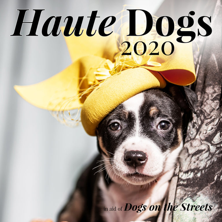 Haute Dogs Calendar Lomax & Skinner Bespoke MillineryLomax